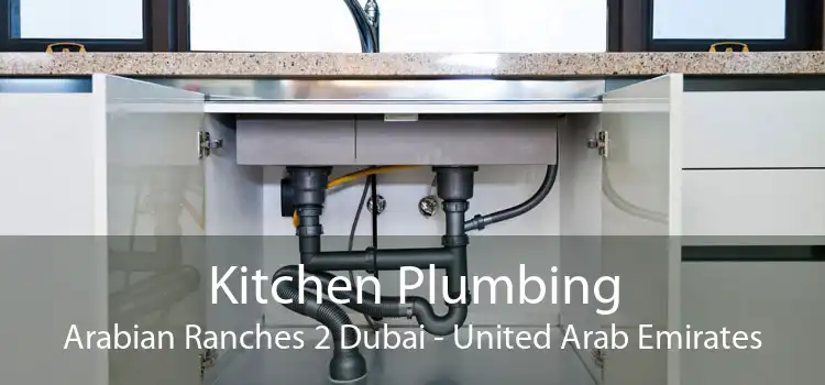Kitchen Plumbing Arabian Ranches 2 Dubai - United Arab Emirates