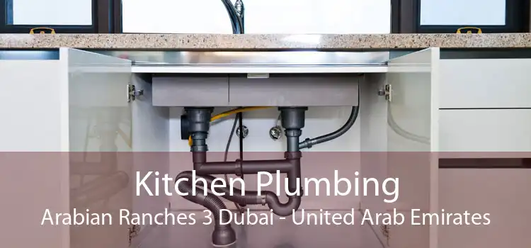 Kitchen Plumbing Arabian Ranches 3 Dubai - United Arab Emirates
