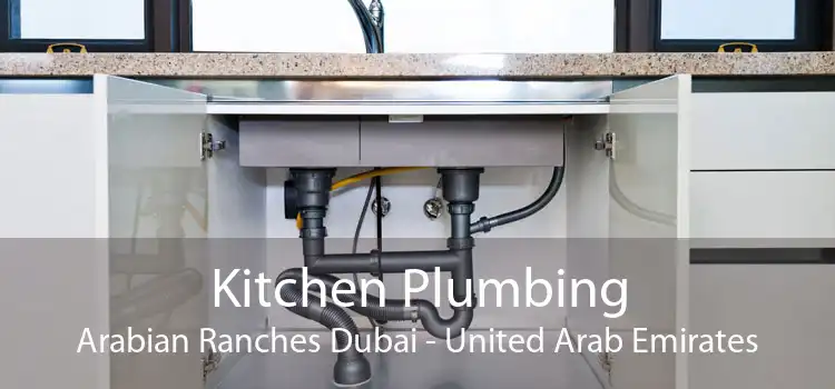 Kitchen Plumbing Arabian Ranches Dubai - United Arab Emirates