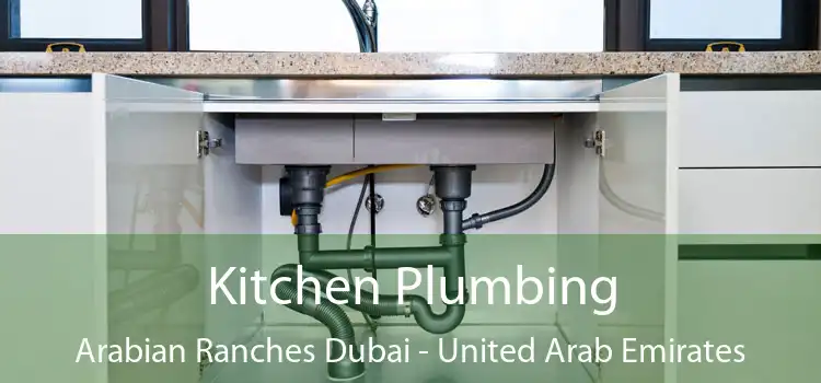 Kitchen Plumbing Arabian Ranches Dubai - United Arab Emirates