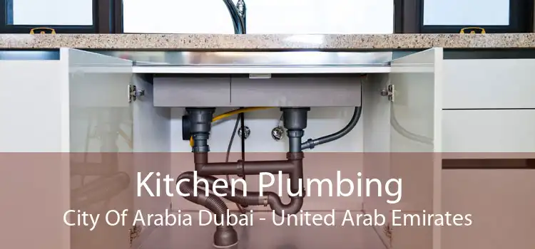 Kitchen Plumbing City Of Arabia Dubai - United Arab Emirates