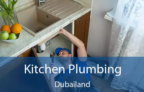  Kitchen Plumbing Dubailand