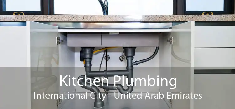 Kitchen Plumbing International City - United Arab Emirates