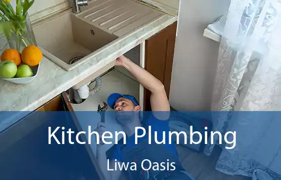  Kitchen Plumbing Liwa Oasis