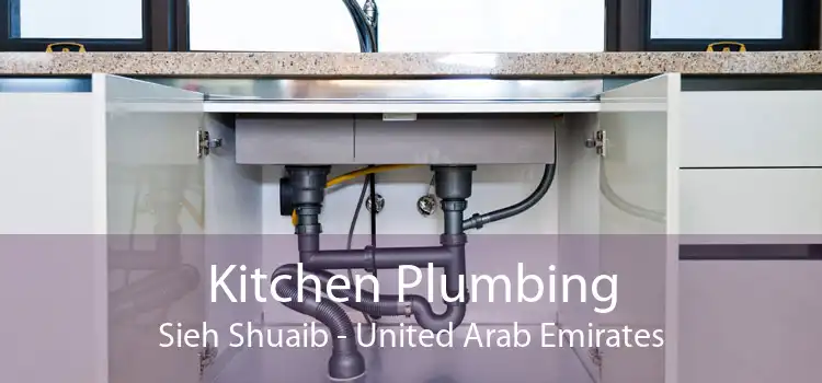 Kitchen Plumbing Sieh Shuaib - United Arab Emirates