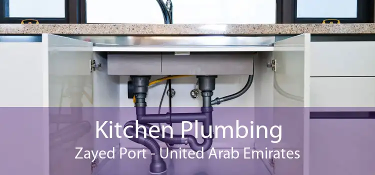 Kitchen Plumbing Zayed Port - United Arab Emirates