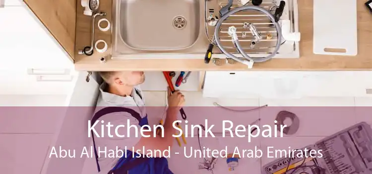 Kitchen Sink Repair Abu Al Habl Island - United Arab Emirates