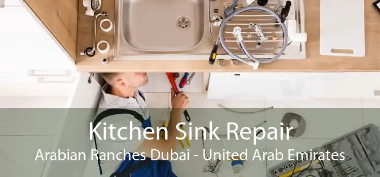 Kitchen Sink Repair Arabian Ranches Dubai - United Arab Emirates