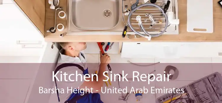Kitchen Sink Repair Barsha Height - United Arab Emirates