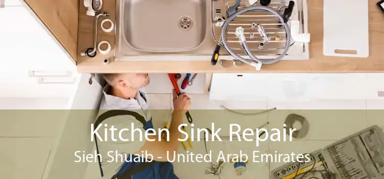 Kitchen Sink Repair Sieh Shuaib - United Arab Emirates