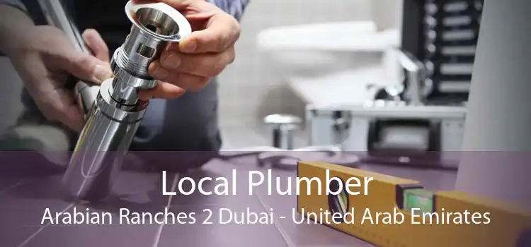 Local Plumber Arabian Ranches 2 Dubai - United Arab Emirates