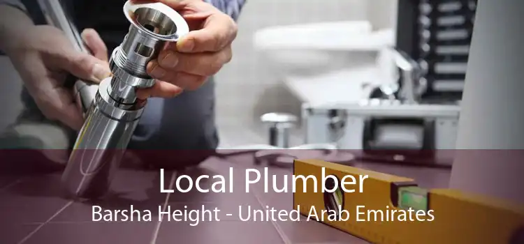 Local Plumber Barsha Height - United Arab Emirates