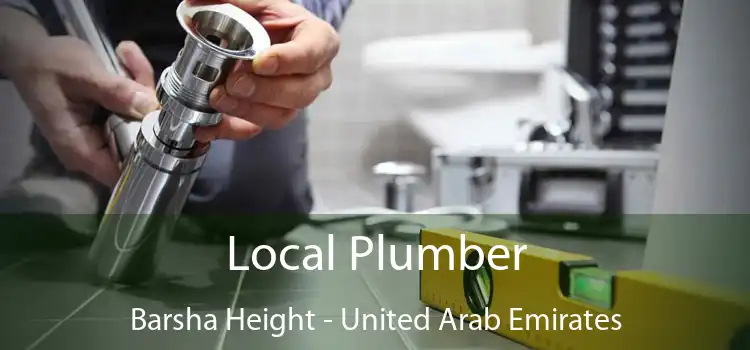 Local Plumber Barsha Height - United Arab Emirates