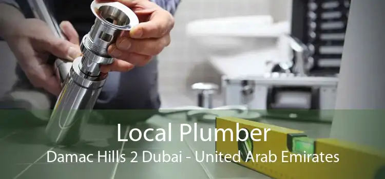Local Plumber Damac Hills 2 Dubai - United Arab Emirates