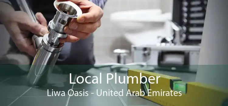 Local Plumber Liwa Oasis - United Arab Emirates
