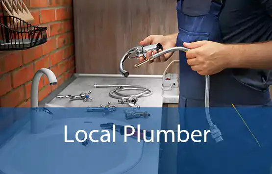  Local Plumber 