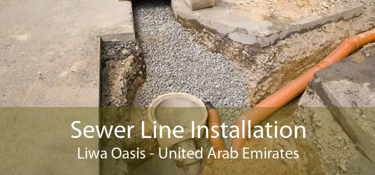 Sewer Line Installation Liwa Oasis - United Arab Emirates