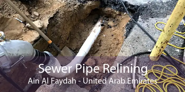 Sewer Pipe Relining Ain Al Faydah - United Arab Emirates