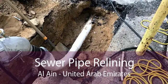 Sewer Pipe Relining Al Ain - United Arab Emirates