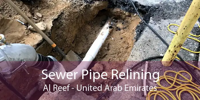 Sewer Pipe Relining Al Reef - United Arab Emirates