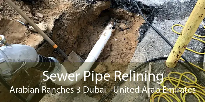 Sewer Pipe Relining Arabian Ranches 3 Dubai - United Arab Emirates