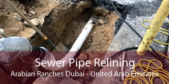 Sewer Pipe Relining Arabian Ranches Dubai - United Arab Emirates