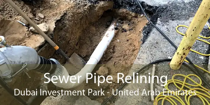 Sewer Pipe Relining Dubai Investment Park - United Arab Emirates