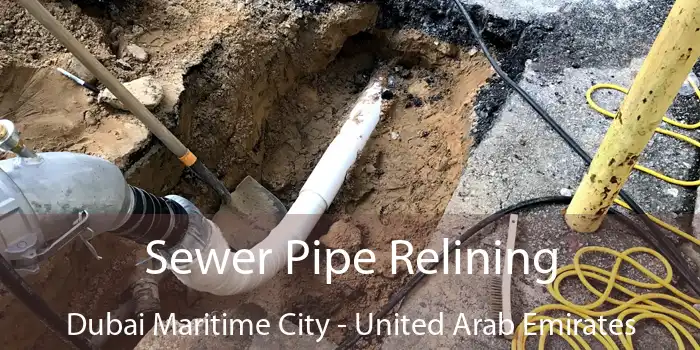 Sewer Pipe Relining Dubai Maritime City - United Arab Emirates