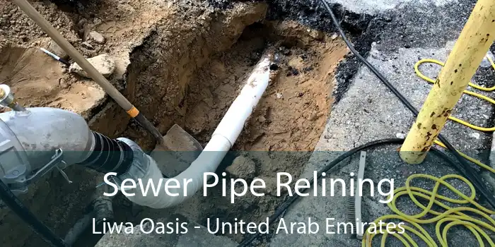 Sewer Pipe Relining Liwa Oasis - United Arab Emirates