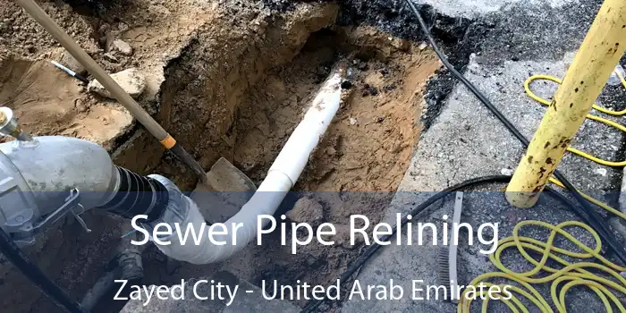 Sewer Pipe Relining Zayed City - United Arab Emirates