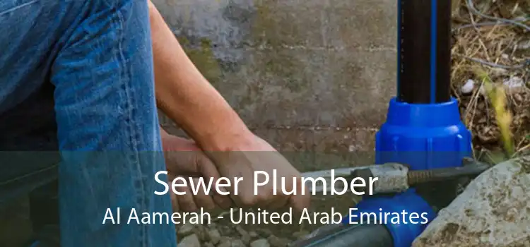 Sewer Plumber Al Aamerah - United Arab Emirates