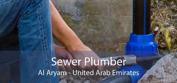 Sewer Plumber Al Aryam - United Arab Emirates
