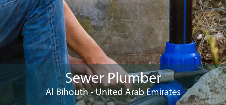 Sewer Plumber Al Bihouth - United Arab Emirates