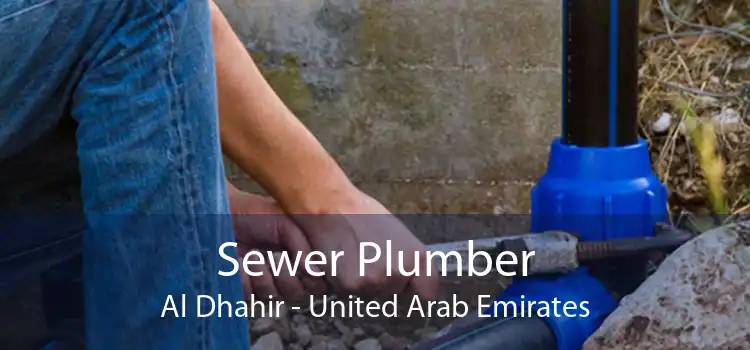 Sewer Plumber Al Dhahir - United Arab Emirates