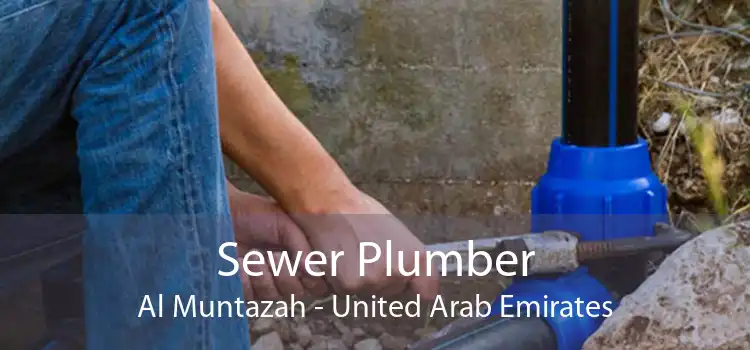 Sewer Plumber Al Muntazah - United Arab Emirates