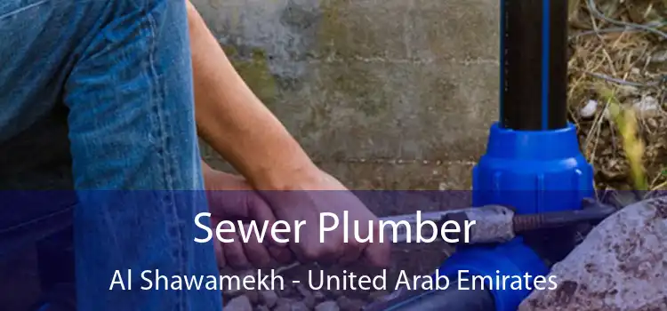 Sewer Plumber Al Shawamekh - United Arab Emirates