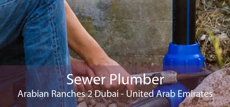 Sewer Plumber Arabian Ranches 2 Dubai - United Arab Emirates