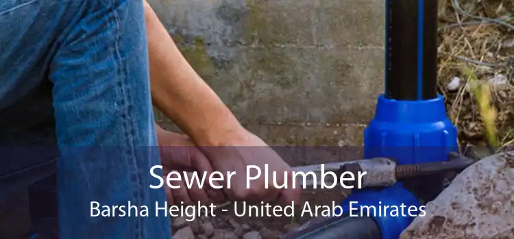 Sewer Plumber Barsha Height - United Arab Emirates
