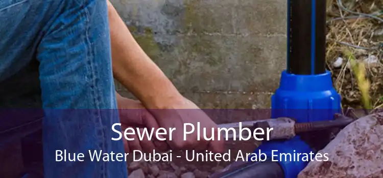 Sewer Plumber Blue Water Dubai - United Arab Emirates