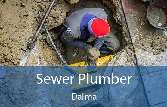  Sewer Plumber Dalma
