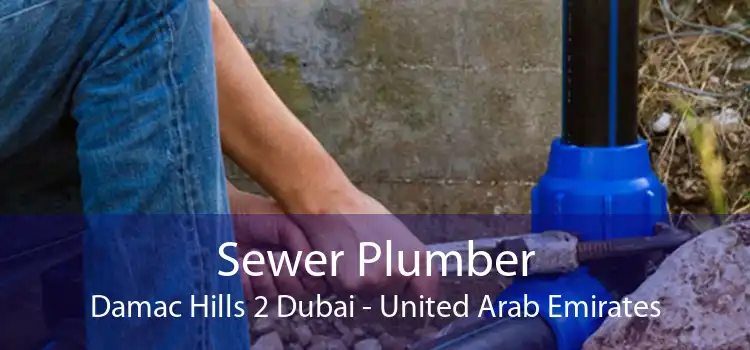 Sewer Plumber Damac Hills 2 Dubai - United Arab Emirates