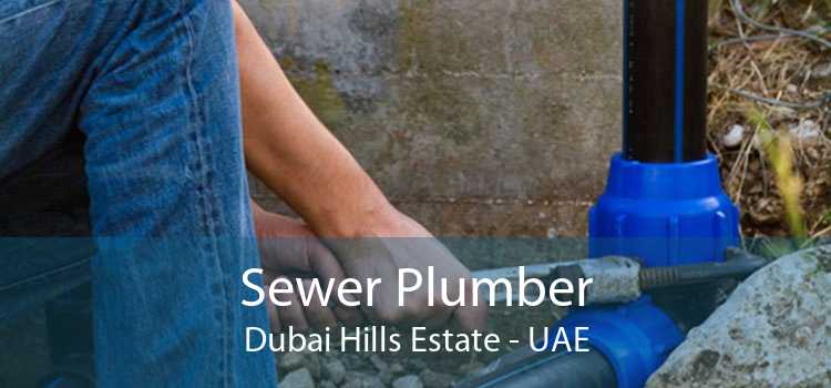 Sewer Plumber Dubai Hills Estate - UAE