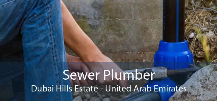 Sewer Plumber Dubai Hills Estate - United Arab Emirates