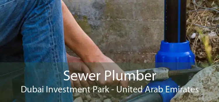 Sewer Plumber Dubai Investment Park - United Arab Emirates