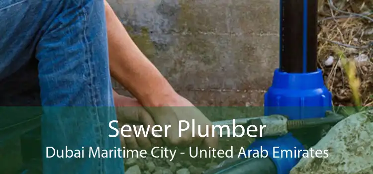 Sewer Plumber Dubai Maritime City - United Arab Emirates
