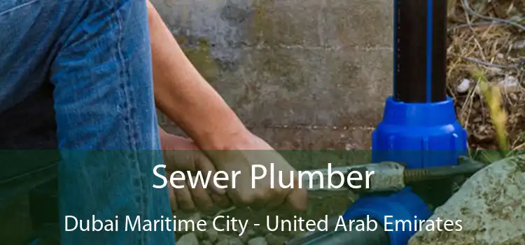 Sewer Plumber Dubai Maritime City - United Arab Emirates