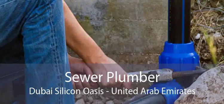 Sewer Plumber Dubai Silicon Oasis - United Arab Emirates