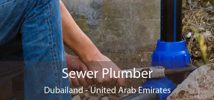 Sewer Plumber Dubailand - United Arab Emirates