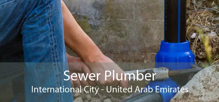 Sewer Plumber International City - United Arab Emirates