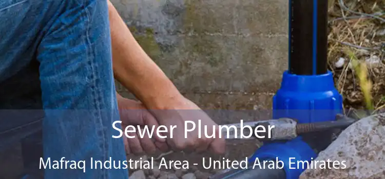 Sewer Plumber Mafraq Industrial Area - United Arab Emirates